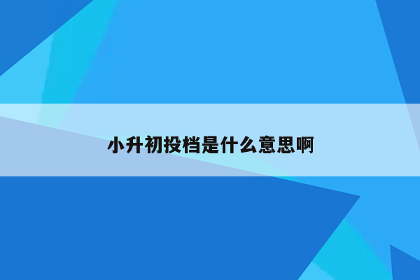 小升初投档是什么意思啊