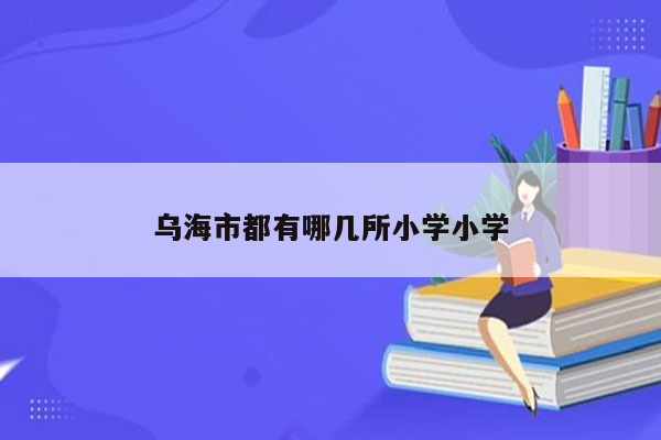 乌海市都有哪几所小学小学