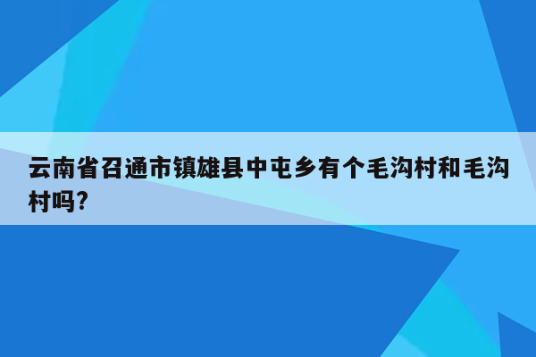 云南省召通市镇雄县中屯乡有个毛沟村和毛沟村吗?