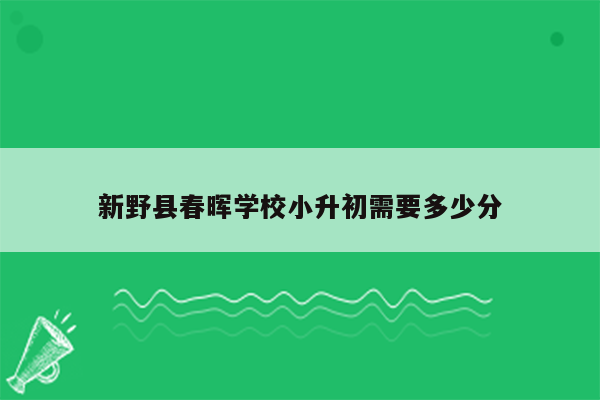 新野县春晖学校小升初需要多少分