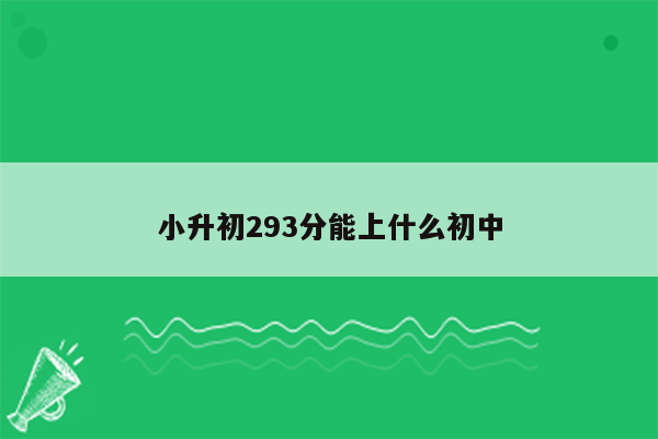 小升初293分能上什么初中