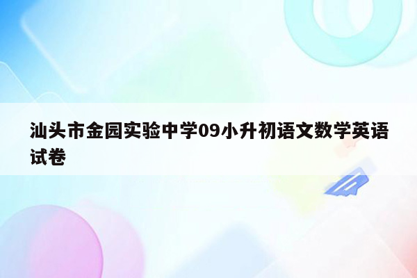 汕头市金园实验中学09小升初语文数学英语试卷