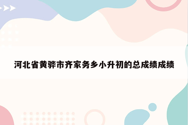 河北省黄骅市齐家务乡小升初的总成绩成绩