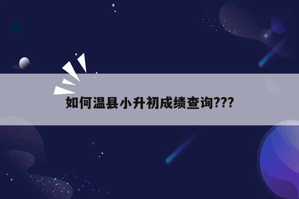 如何温县小升初成绩查询???