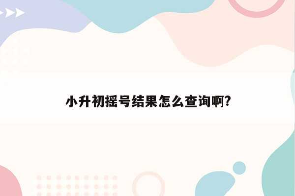 小升初摇号结果怎么查询啊?