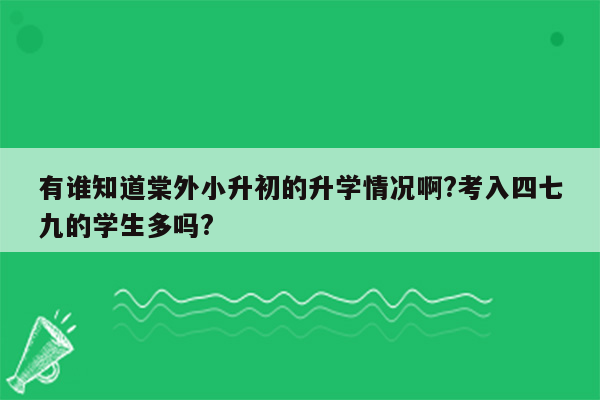 有谁知道棠外小升初的升学情况啊?考入四七九的学生多吗?