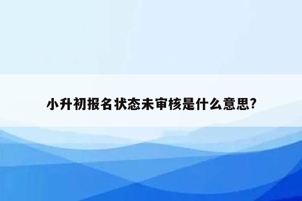 小升初报名状态未审核是什么意思?