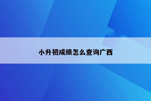 小升初成绩怎么查询广西