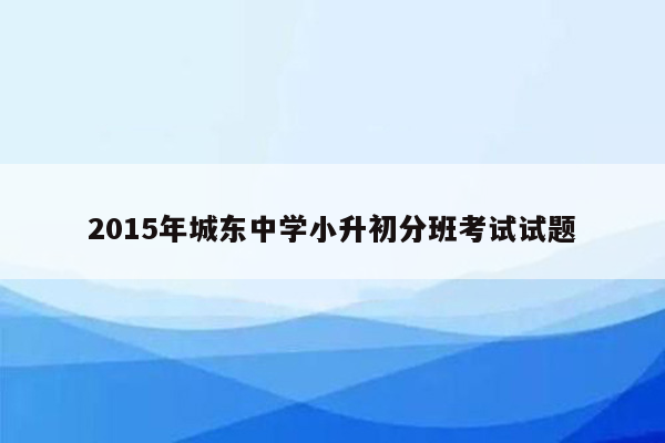 2015年城东中学小升初分班考试试题