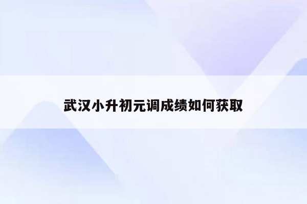 武汉小升初元调成绩如何获取