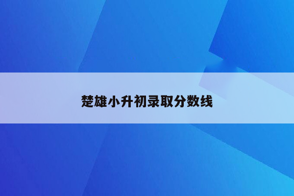 楚雄小升初录取分数线