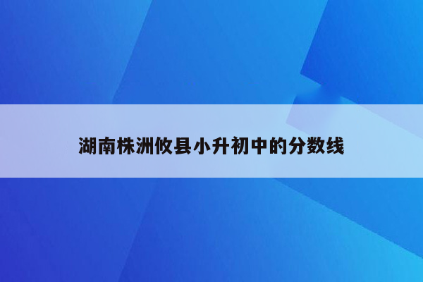 湖南株洲攸县小升初中的分数线