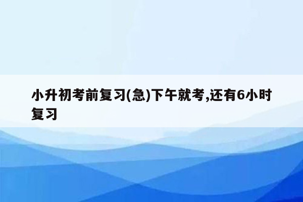 小升初考前复习(急)下午就考,还有6小时复习