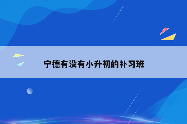 宁德有没有小升初的补习班