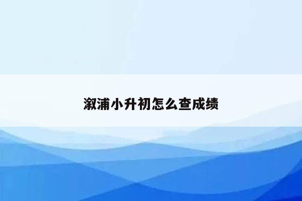 溆浦小升初怎么查成绩