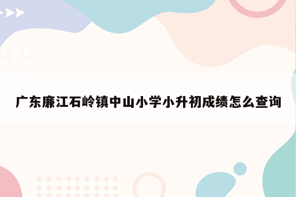 广东廉江石岭镇中山小学小升初成绩怎么查询