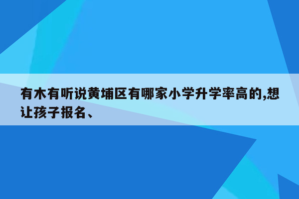 有木有听说黄埔区有哪家小学升学率高的,想让孩子报名、