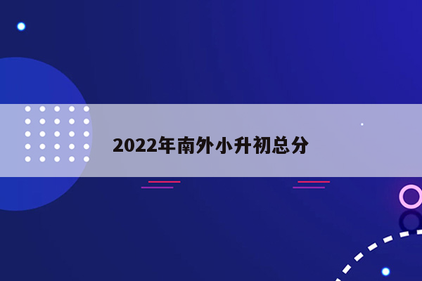 2022年南外小升初总分