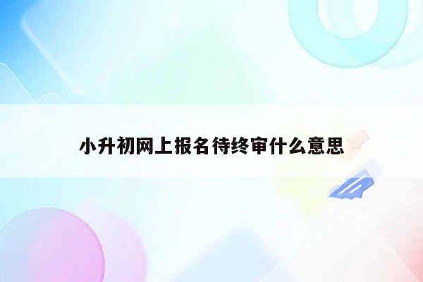 小升初网上报名待终审什么意思