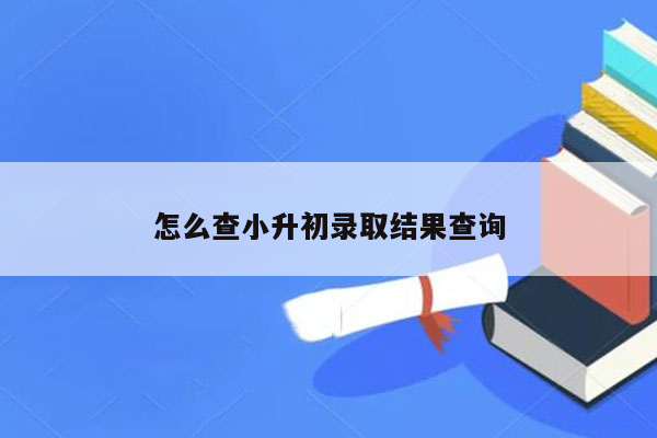 怎么查小升初录取结果查询