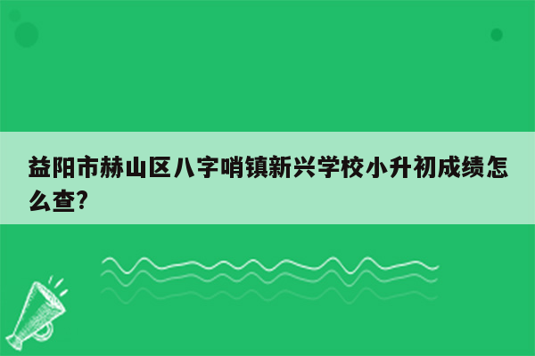 益阳市赫山区八字哨镇新兴学校小升初成绩怎么查?