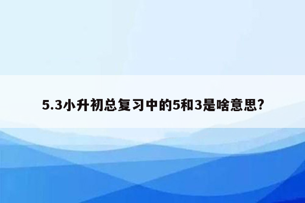 5.3小升初总复习中的5和3是啥意思?