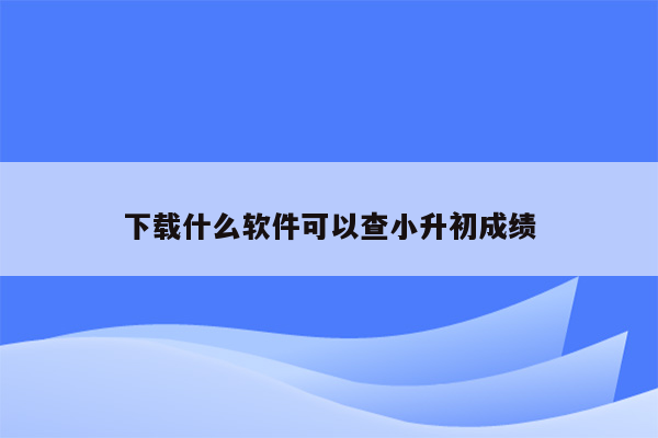 下载什么软件可以查小升初成绩