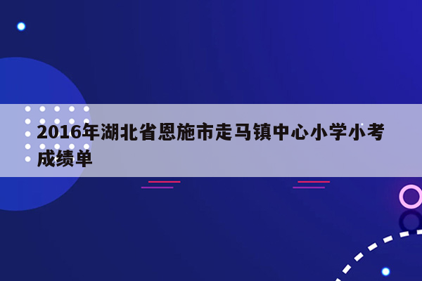 2016年湖北省恩施市走马镇中心小学小考成绩单