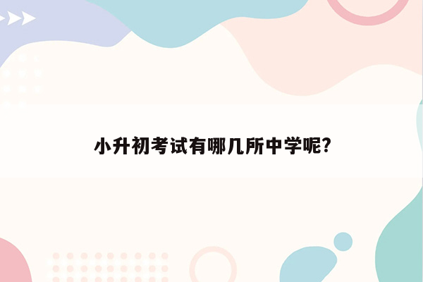 小升初考试有哪几所中学呢?