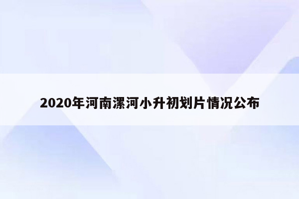 2020年河南漯河小升初划片情况公布