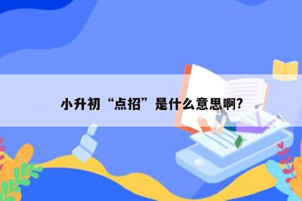 小升初“点招”是什么意思啊?