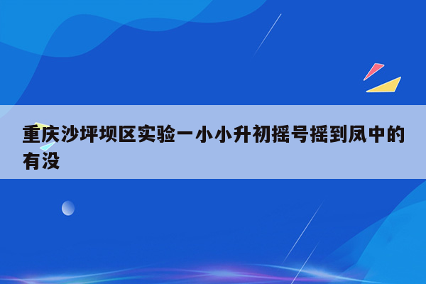 重庆沙坪坝区实验一小小升初摇号摇到凤中的有没