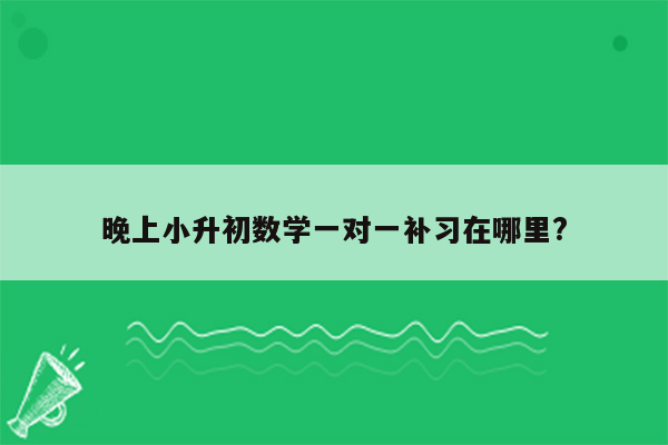 晚上小升初数学一对一补习在哪里?