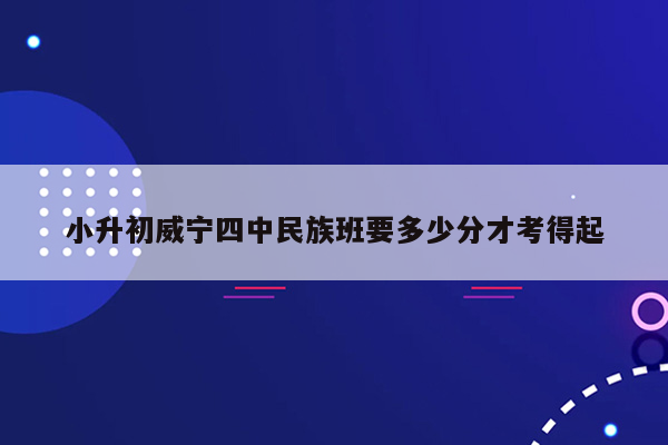 小升初威宁四中民族班要多少分才考得起