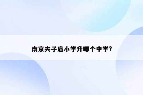 南京夫子庙小学升哪个中学?