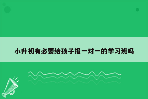 小升初有必要给孩子报一对一的学习班吗