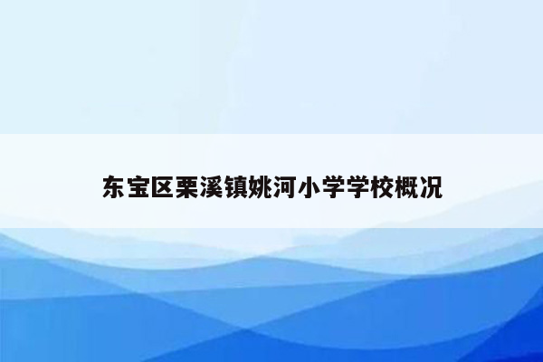 东宝区栗溪镇姚河小学学校概况