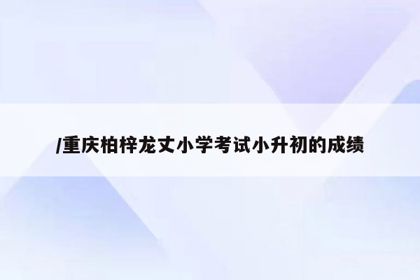 /重庆柏梓龙丈小学考试小升初的成绩