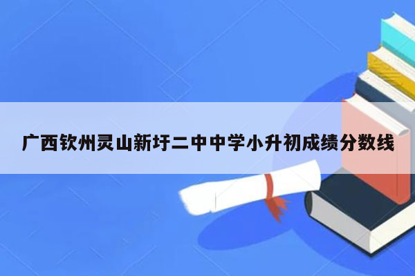 广西钦州灵山新圩二中中学小升初成绩分数线