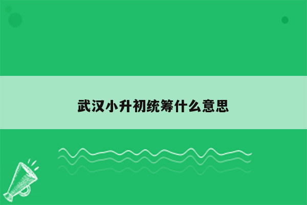 武汉小升初统筹什么意思