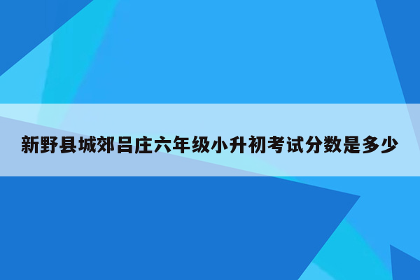 新野县城郊吕庄六年级小升初考试分数是多少