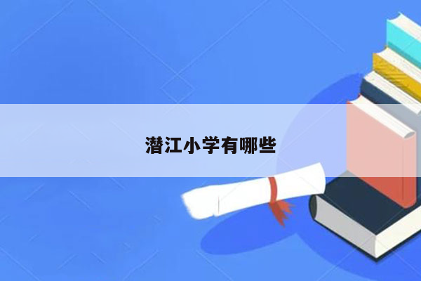 潜江小学有哪些