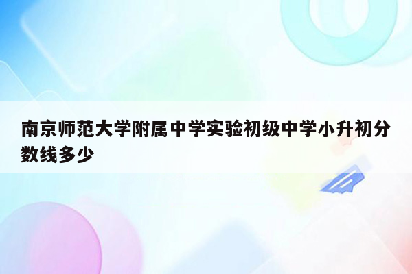 南京师范大学附属中学实验初级中学小升初分数线多少