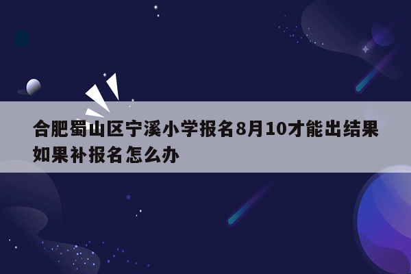 合肥蜀山区宁溪小学报名8月10才能出结果如果补报名怎么办