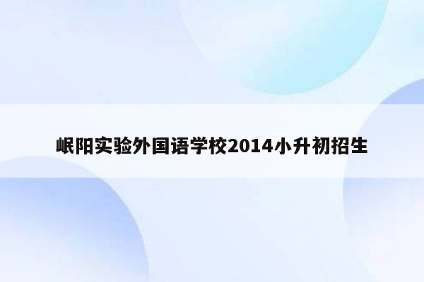 岷阳实验外国语学校2014小升初招生