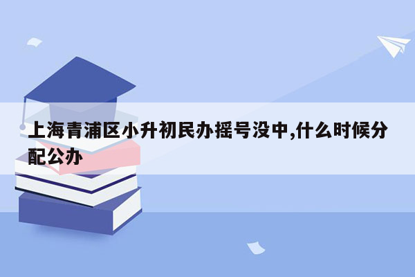 上海青浦区小升初民办摇号没中,什么时候分配公办