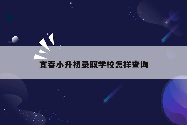 宜春小升初录取学校怎样查询