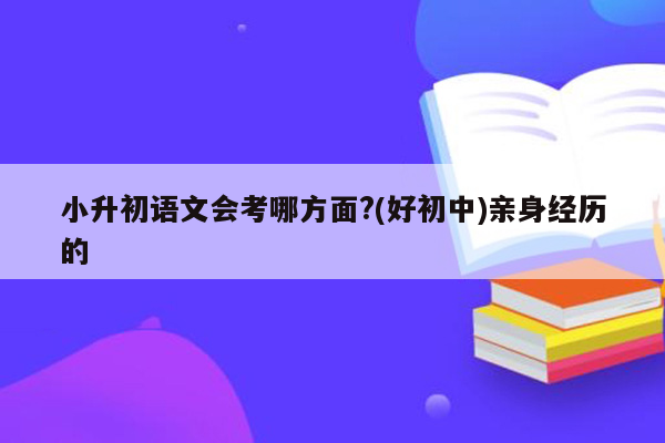 小升初语文会考哪方面?(好初中)亲身经历的