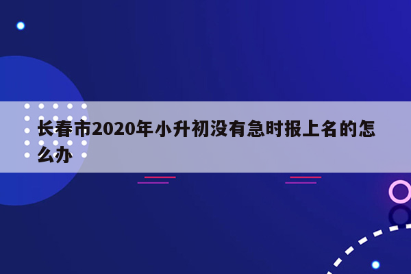 长春市2020年小升初没有急时报上名的怎么办