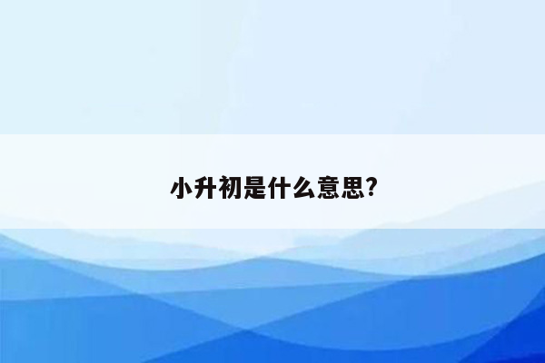 小升初是什么意思?